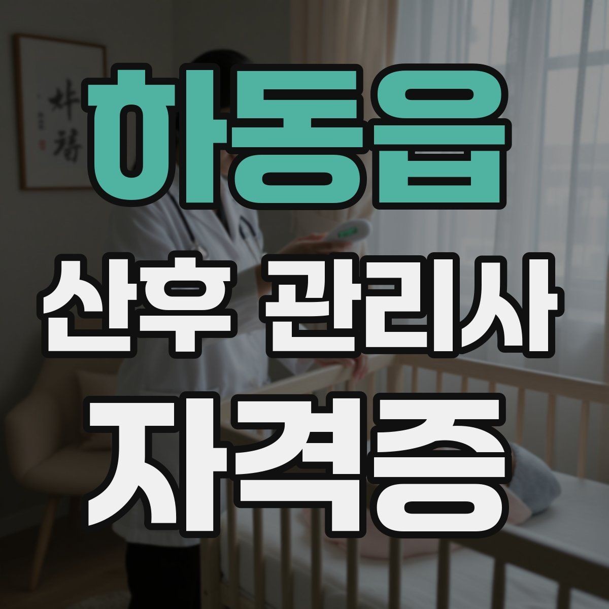 하동읍 산후 관리사 자격증 산후조리원과 연계되는 업무가 있을까