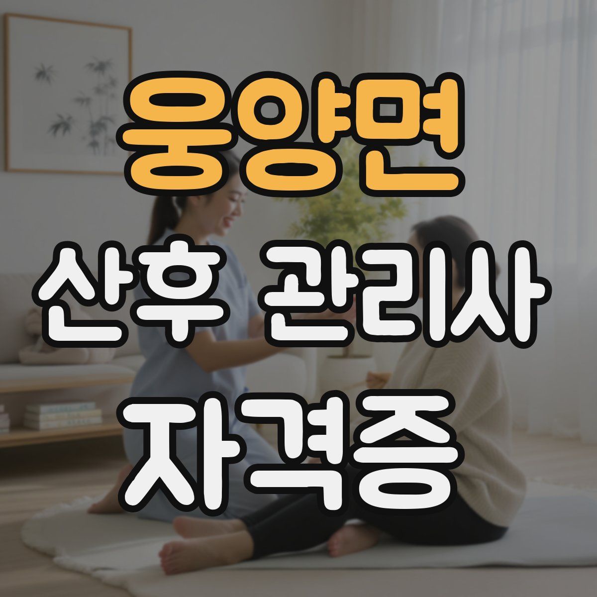 웅양면 산후 관리사 자격증