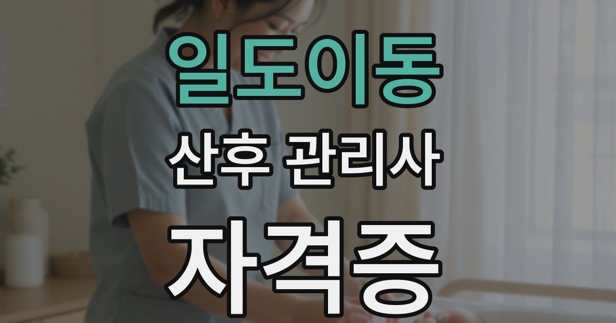 일도이동 산후 관리사 자격증