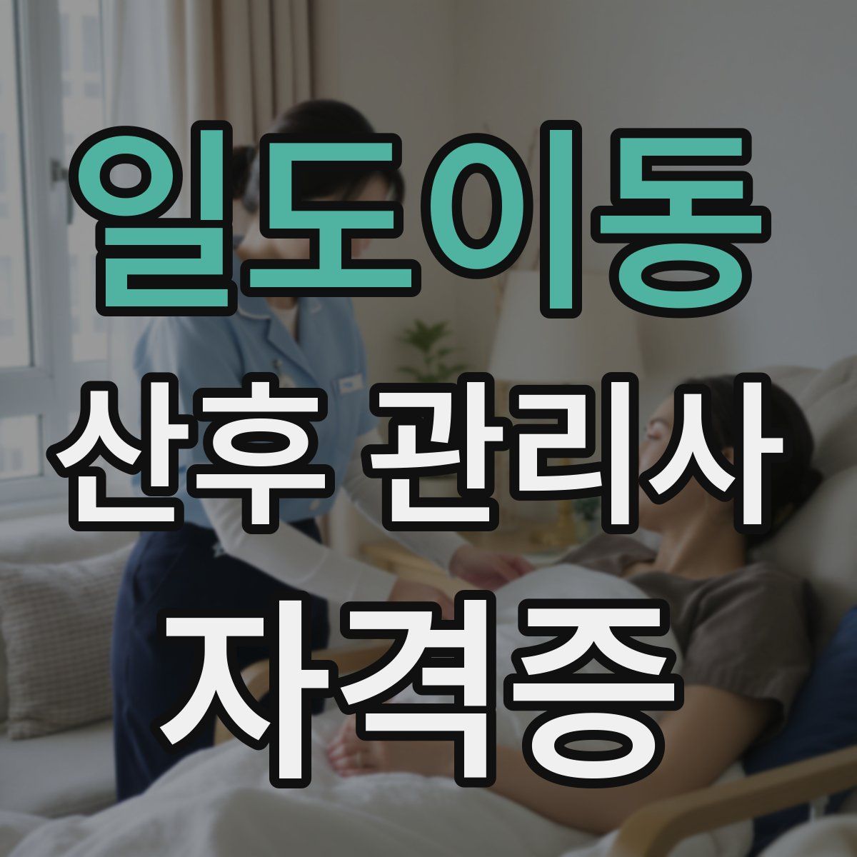 일도이동 산후 관리사 자격증