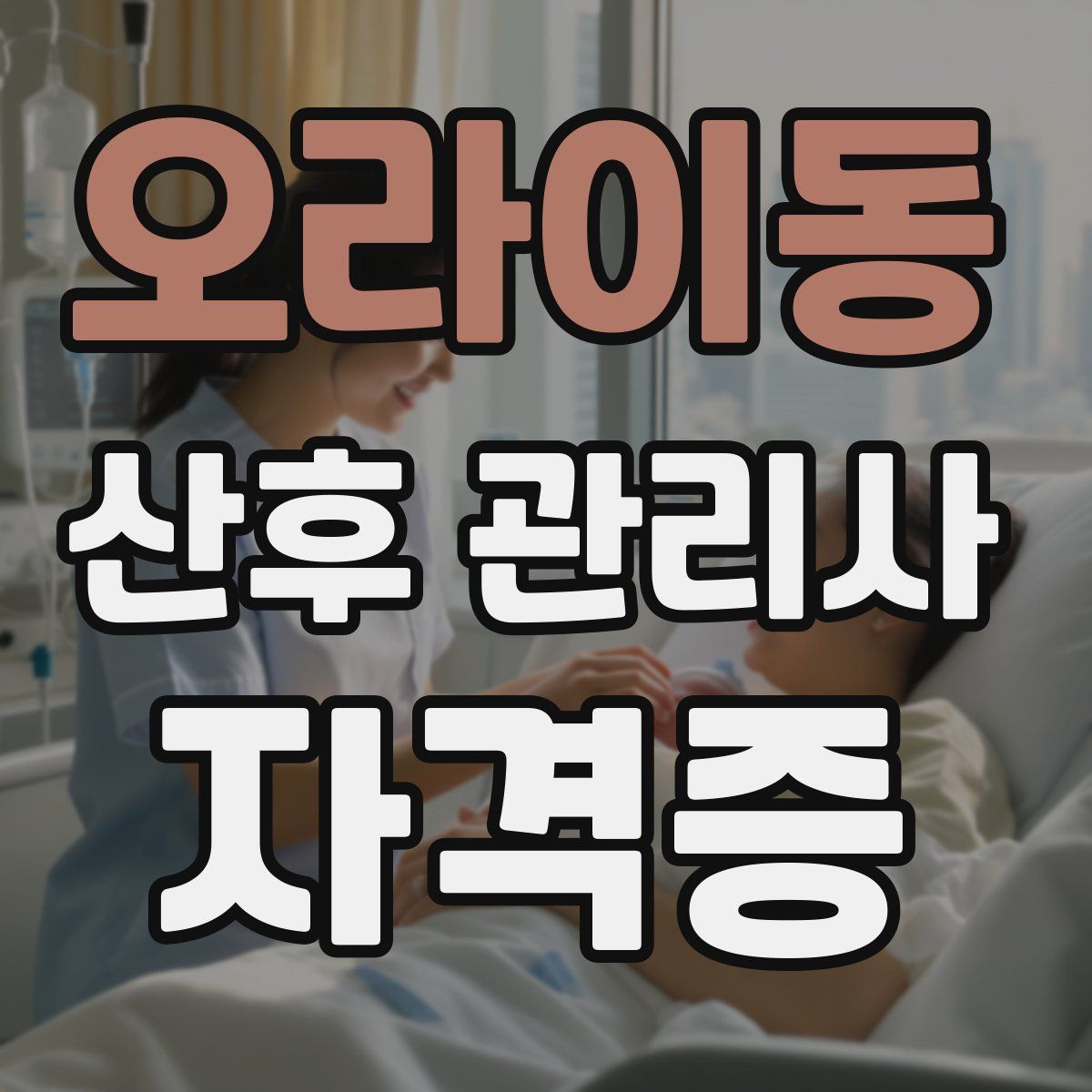 오라이동 산후 관리사 자격증
