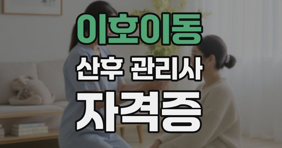 이호이동 산후 관리사 자격증