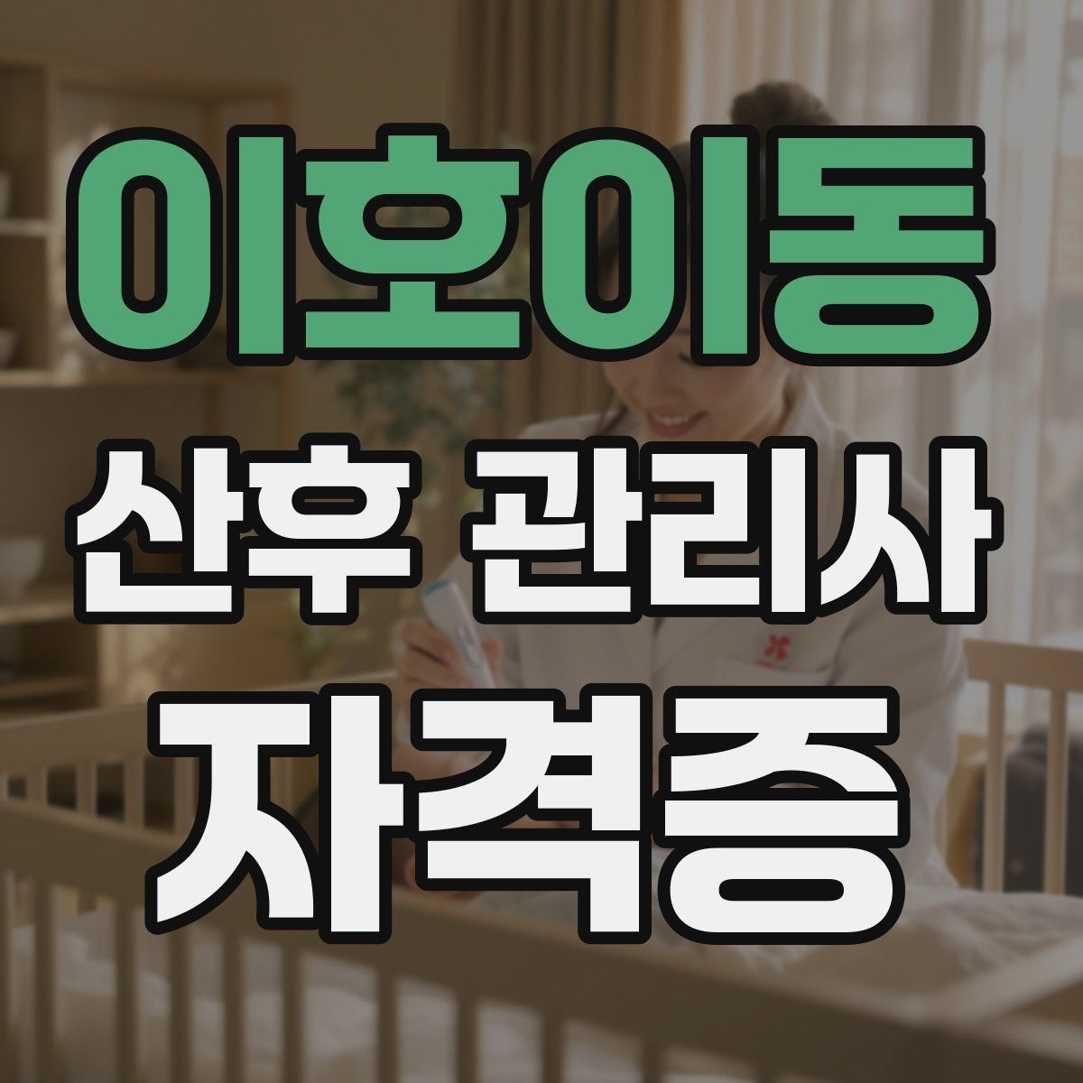 이호이동 산후 관리사 자격증