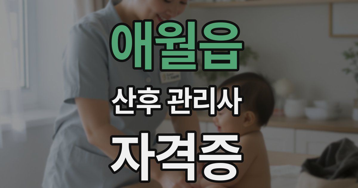 애월읍 산후 관리사 자격증