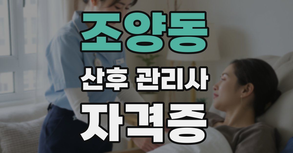 조양동 산후 관리사 자격증