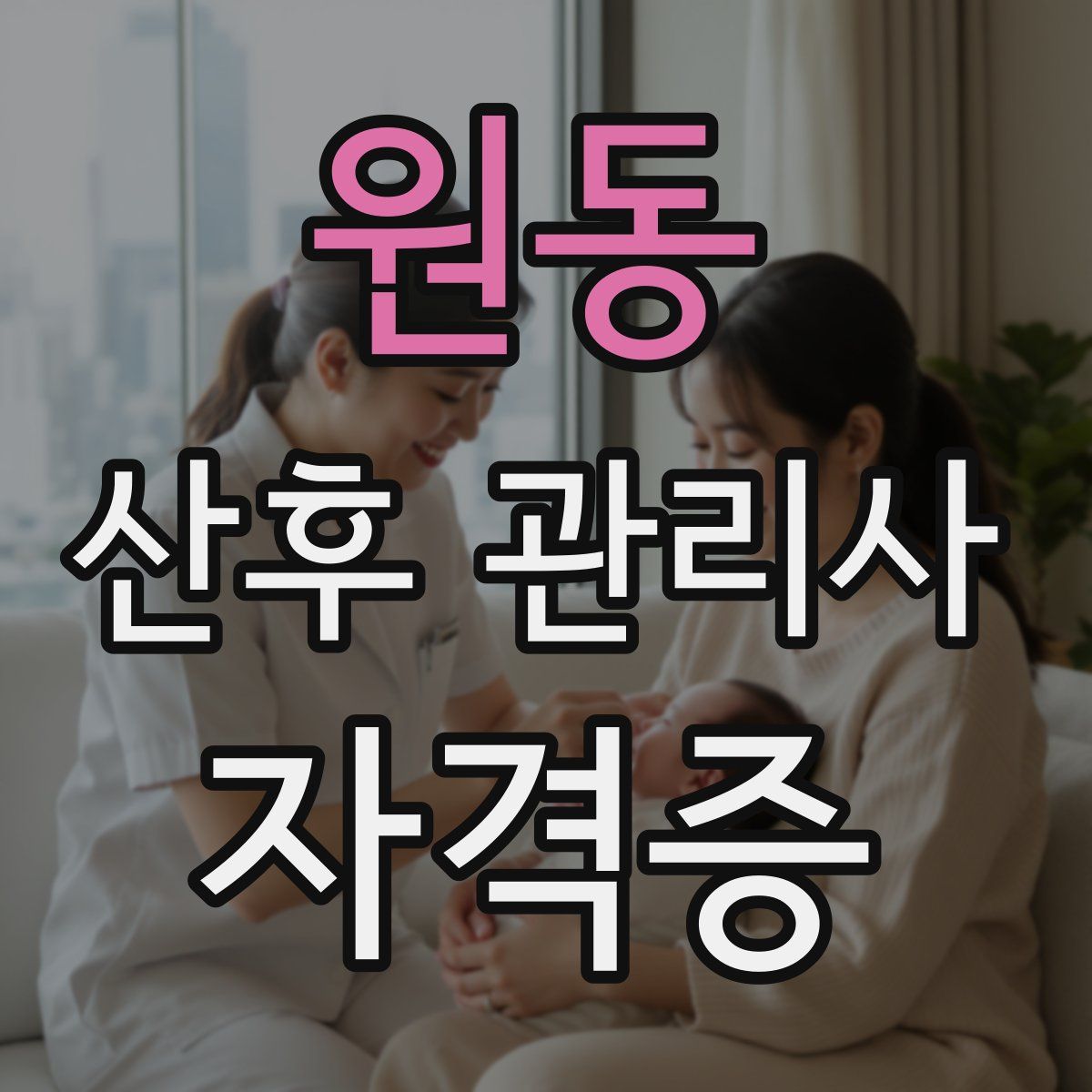 원동 산후 관리사 자격증