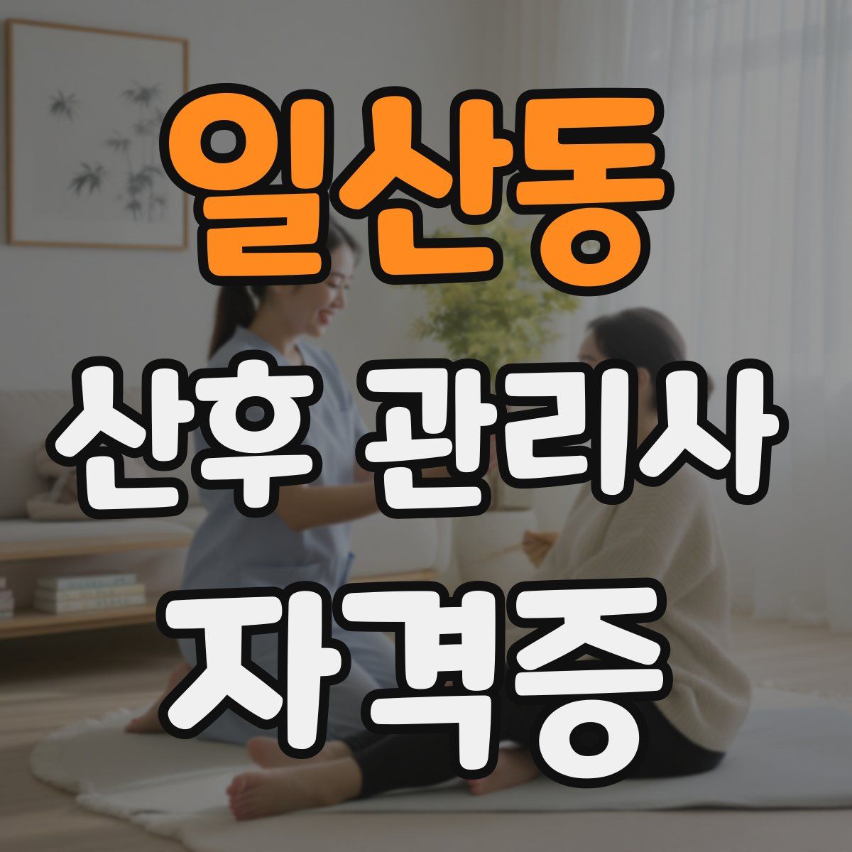 일산동 산후 관리사 자격증