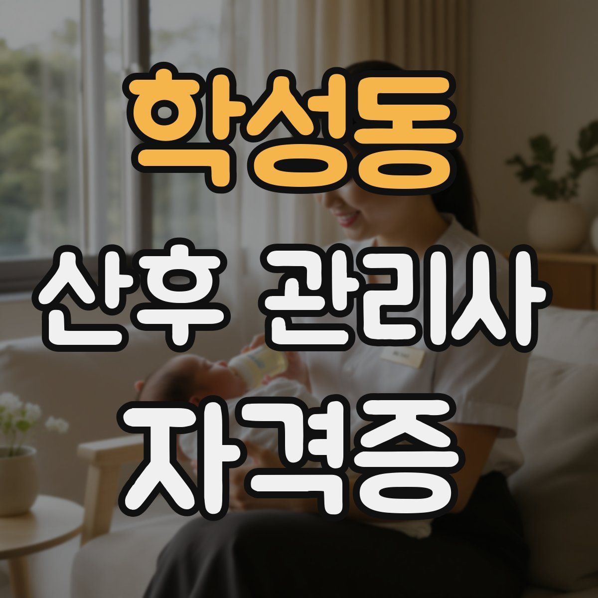학성동 산후 관리사 자격증