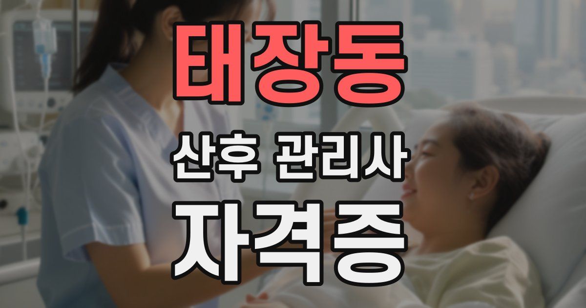 태장동 산후 관리사 자격증