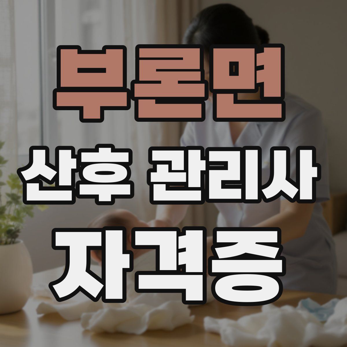 부론면 산후 관리사 자격증