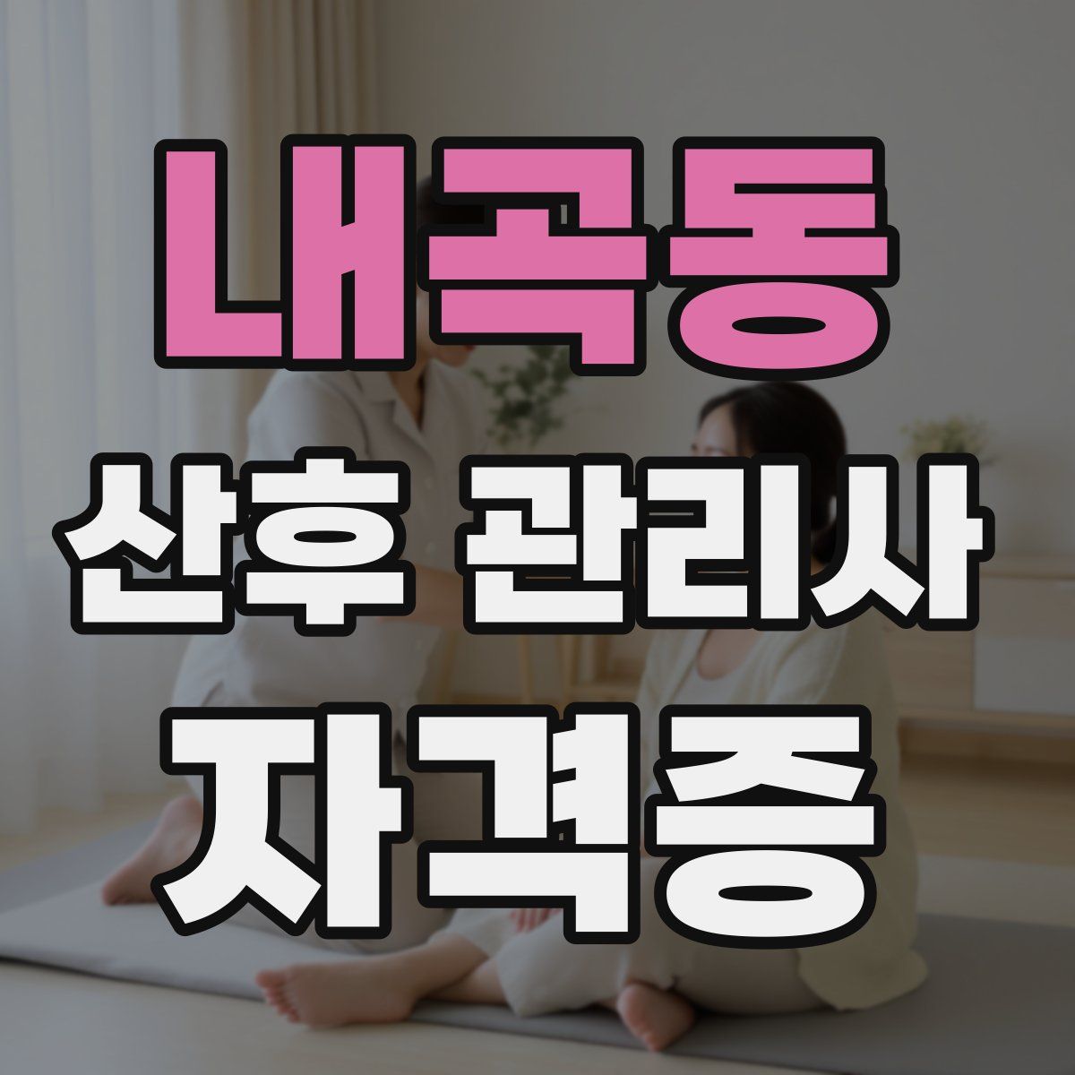 내곡동 산후 관리사 자격증