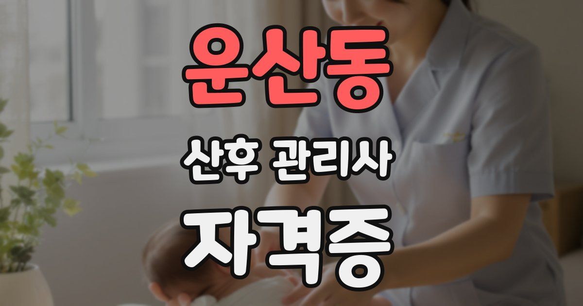 운산동 산후 관리사 자격증