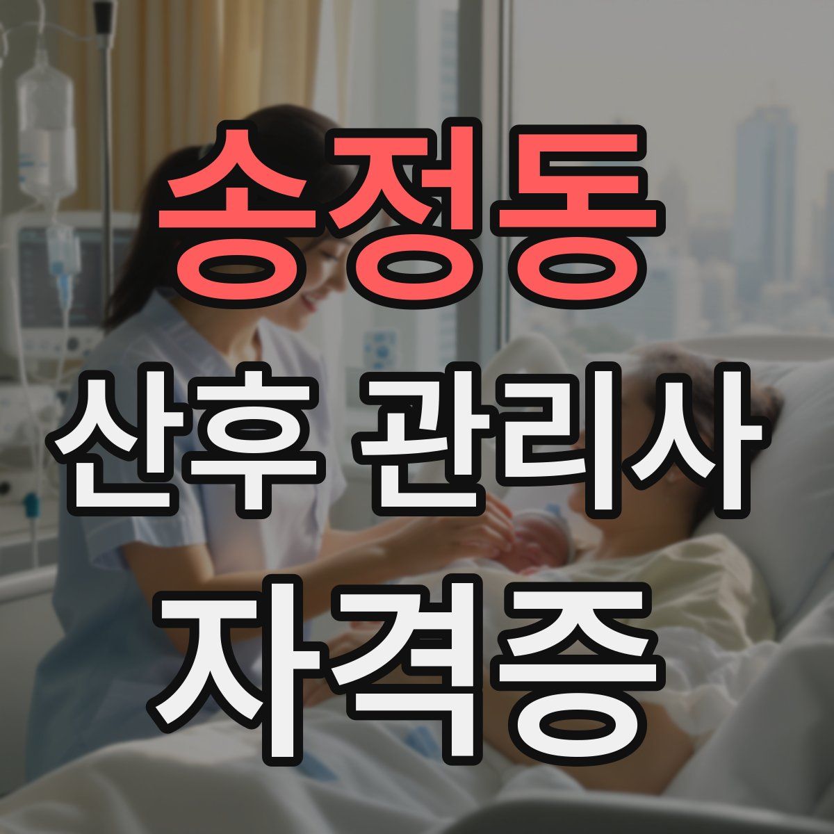 송정동 산후 관리사 자격증
