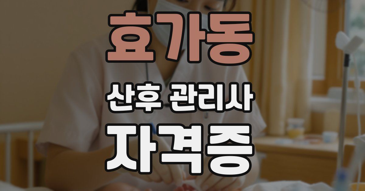 효가동 산후 관리사 자격증