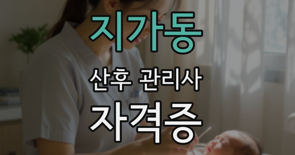 지가동 산후 관리사 자격증