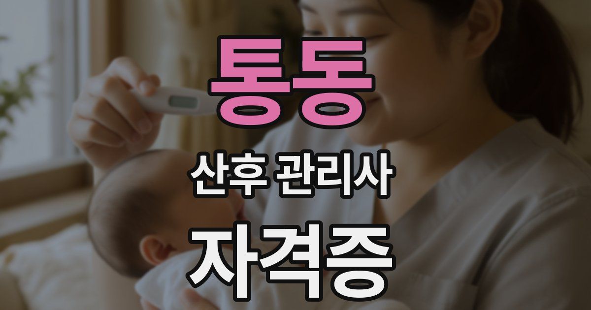 통동 산후 관리사 자격증