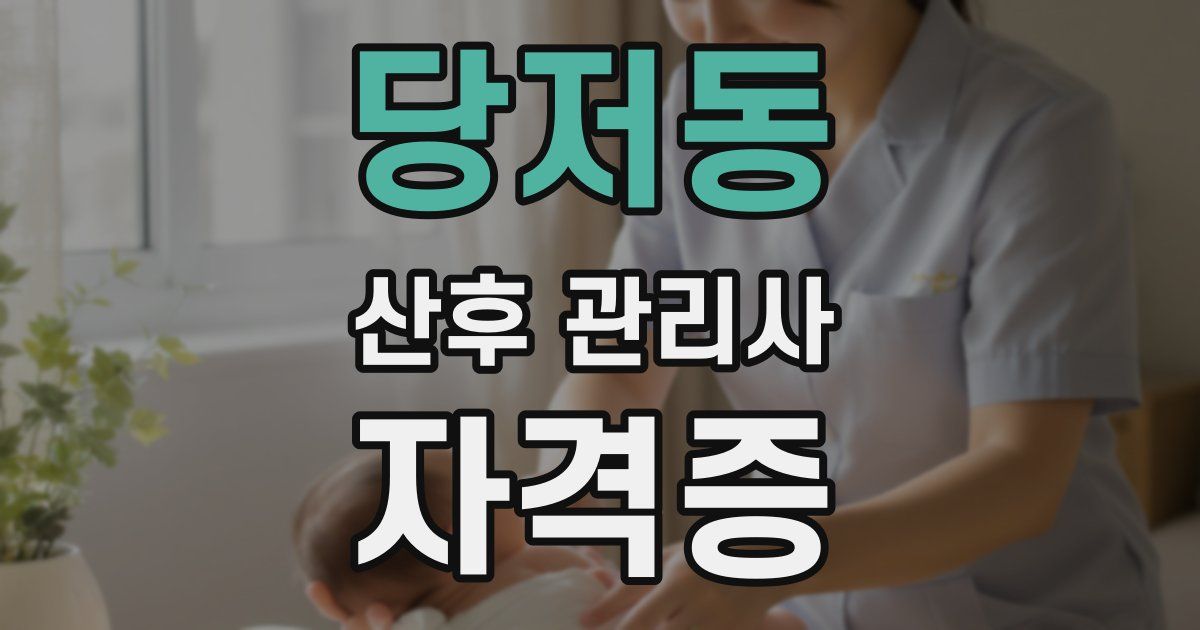 당저동 산후 관리사 자격증