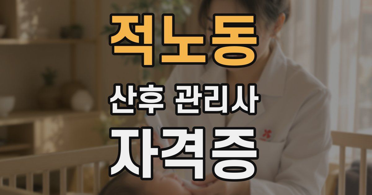 적노동 산후 관리사 자격증