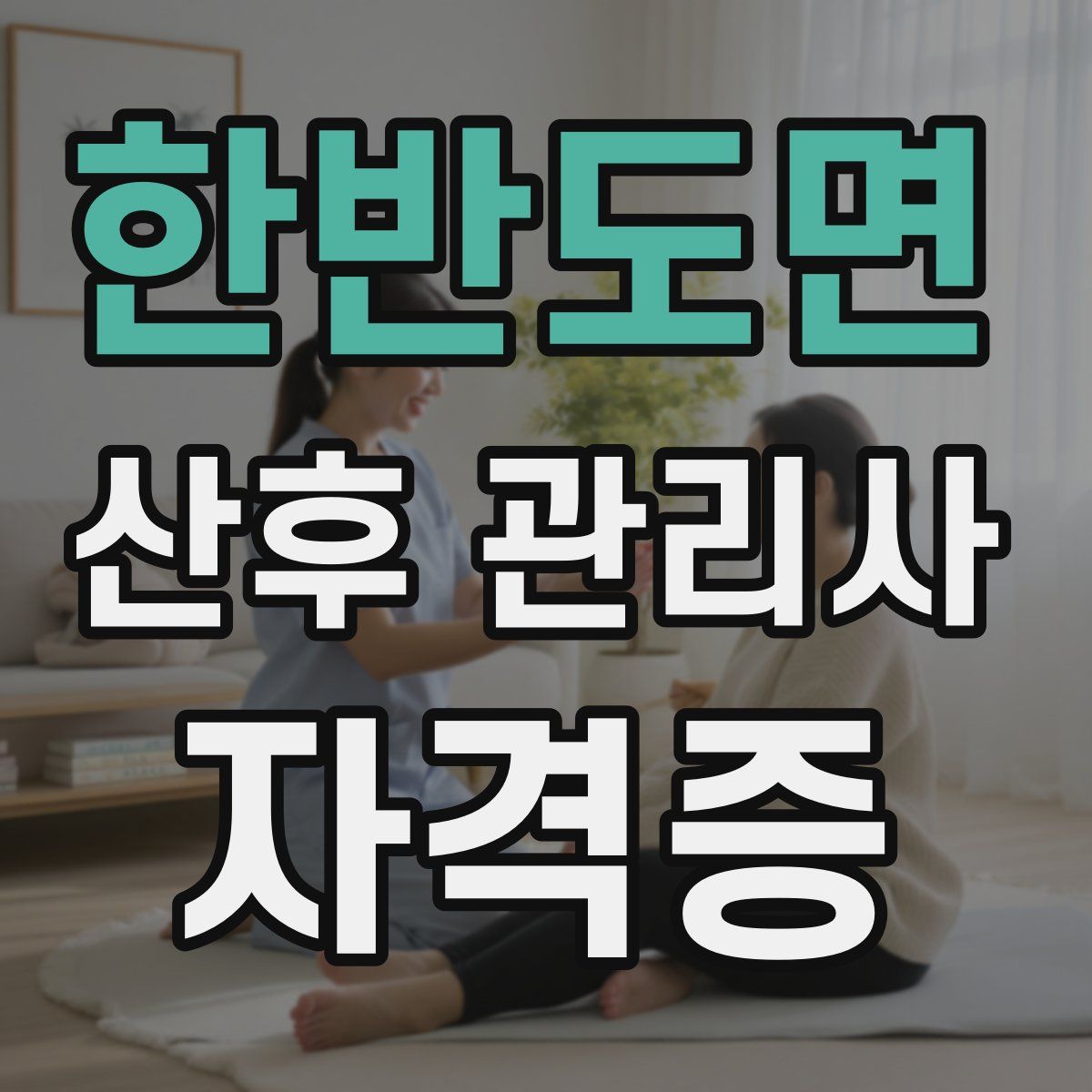 한반도면 산후 관리사 자격증