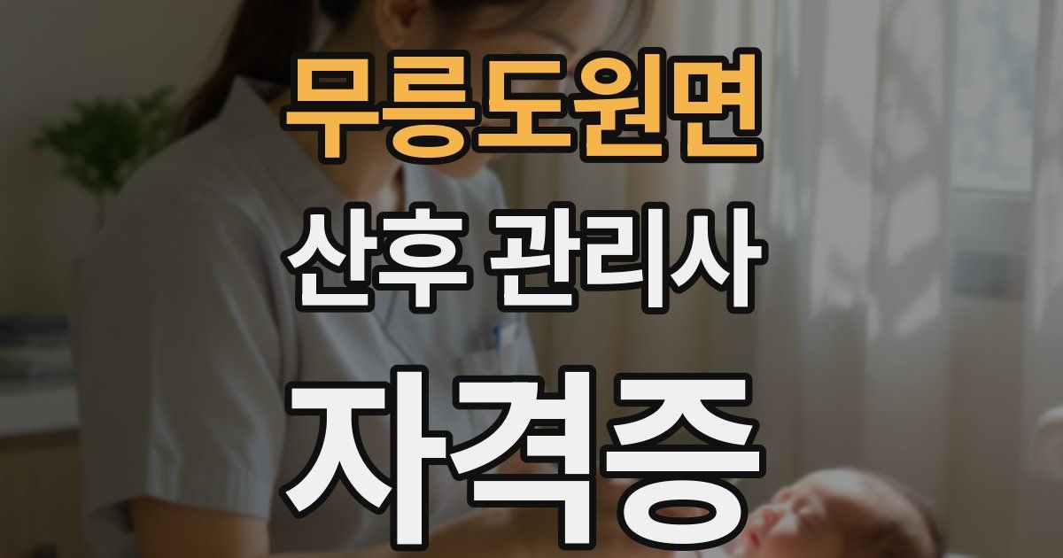 무릉도원면 산후 관리사 자격증