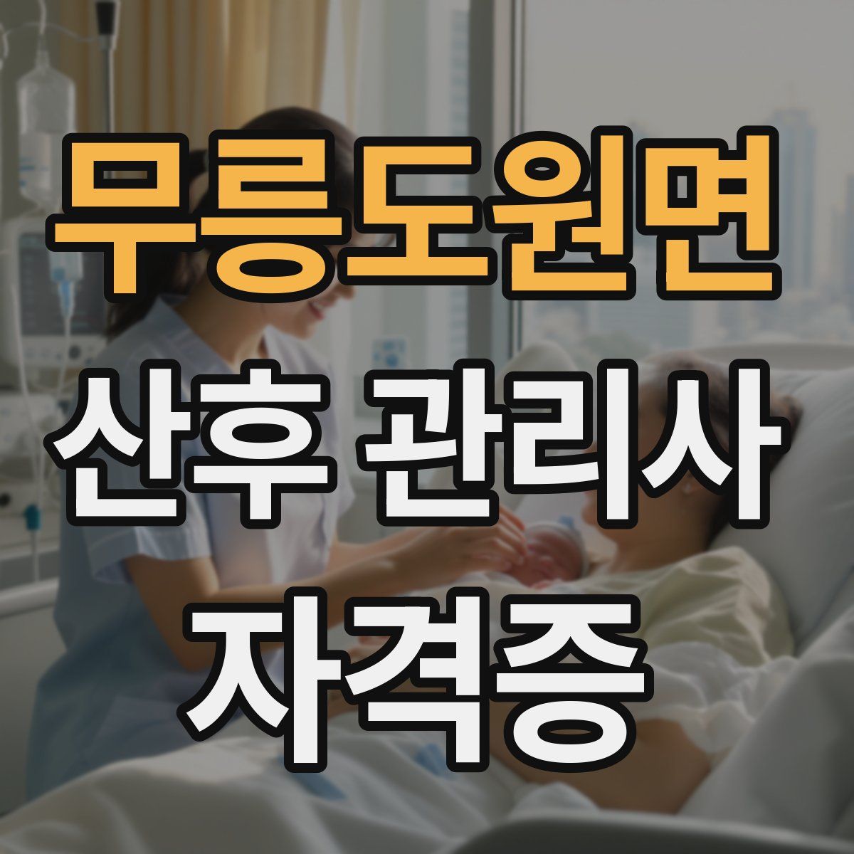 무릉도원면 산후 관리사 자격증