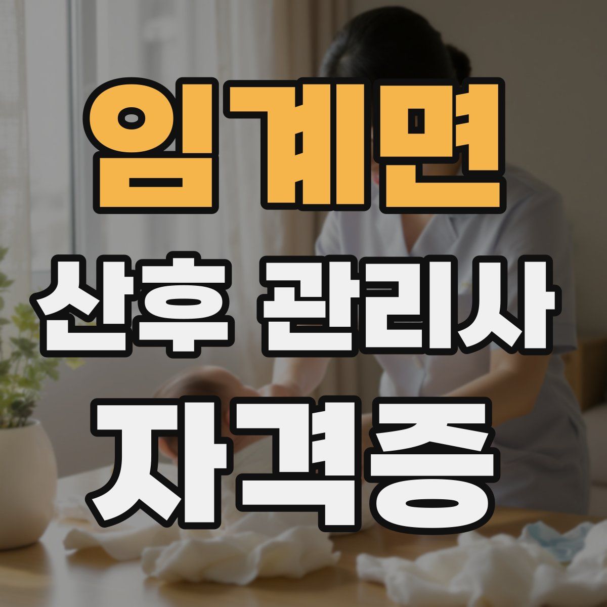 임계면 산후 관리사 자격증