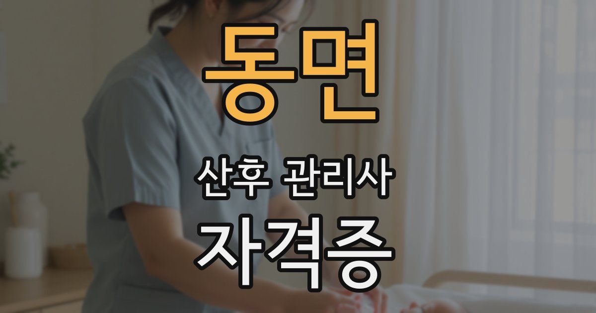 동면 산후 관리사 자격증