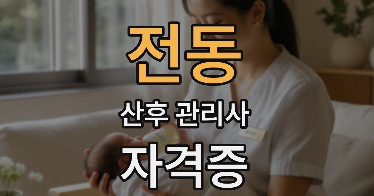 전동 산후 관리사 자격증