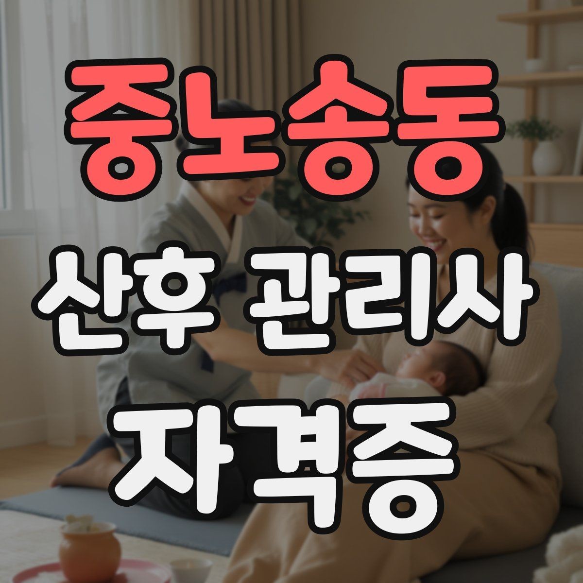 중노송동 산후 관리사 자격증 산후조리 식사 준비 범위 정리