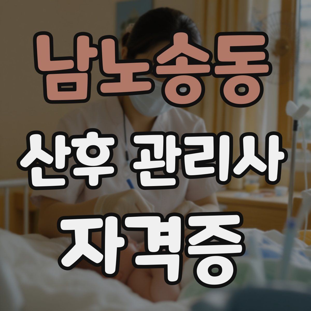 남노송동 산후 관리사 자격증 취득하면 할 수 있는 일 한눈에 보기