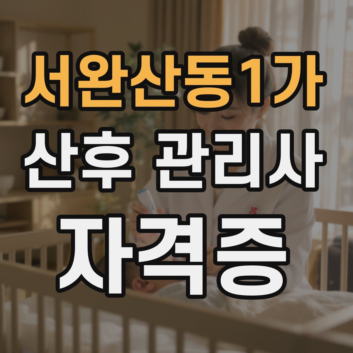 서완산동1가 산후 관리사 자격증
