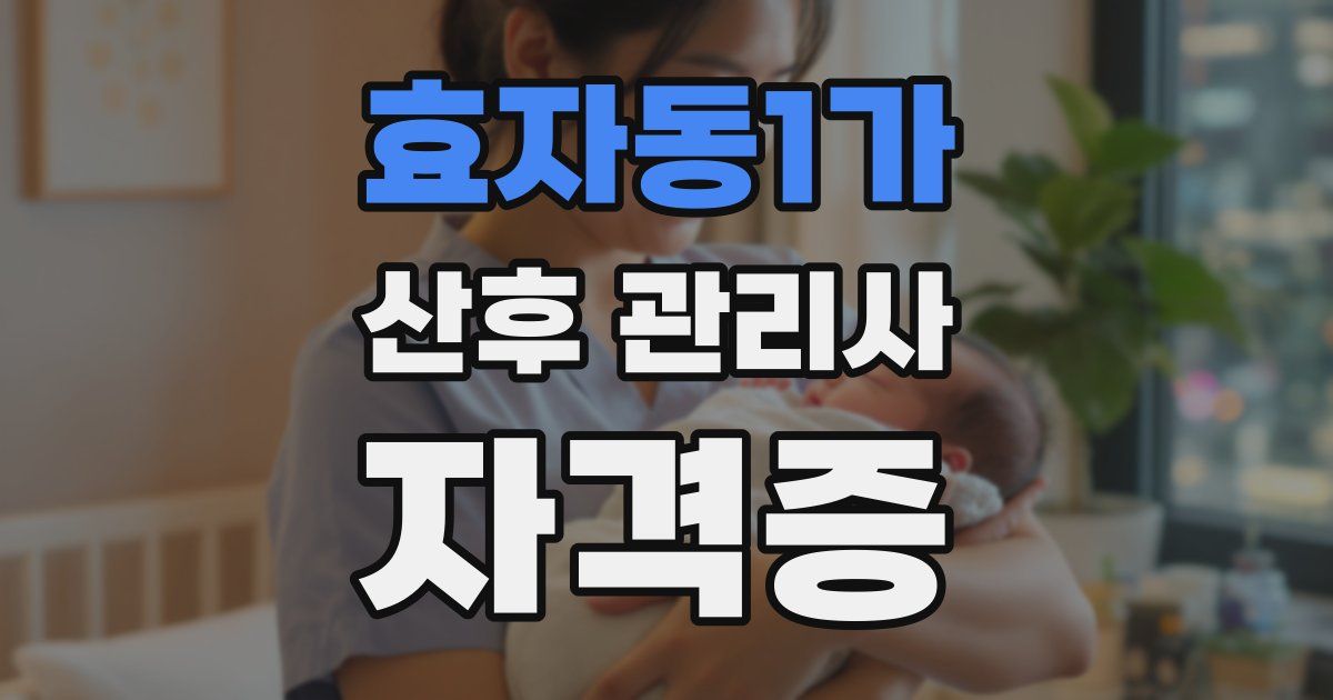 효자동1가 산후 관리사 자격증