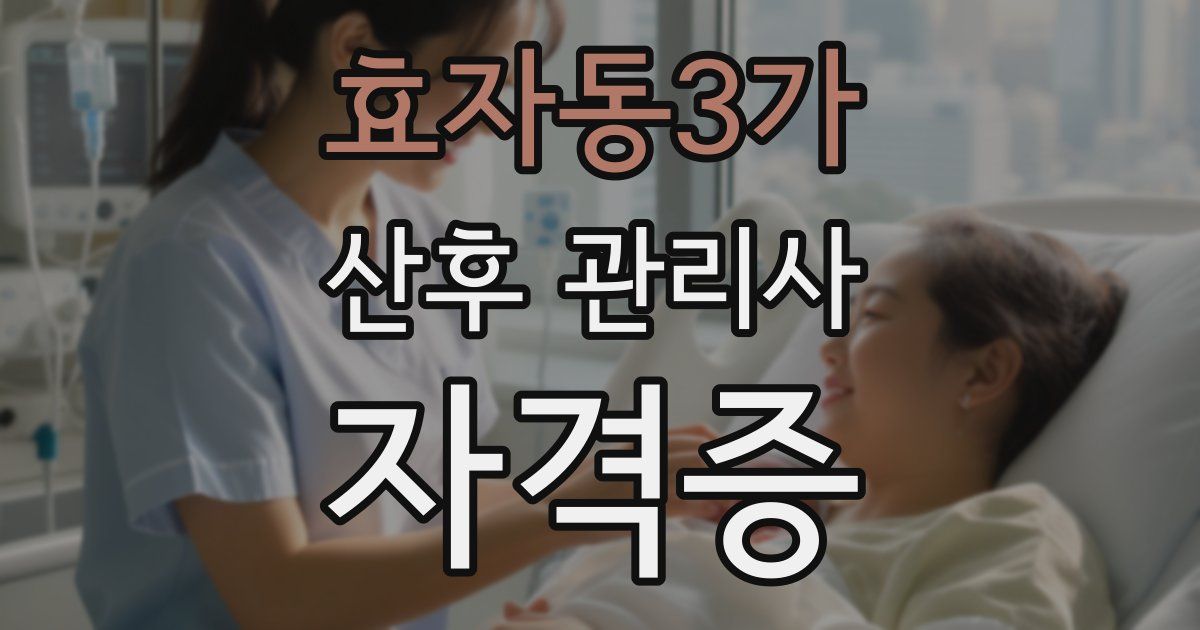 효자동3가 산후 관리사 자격증
