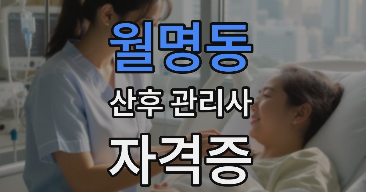 월명동 산후 관리사 자격증
