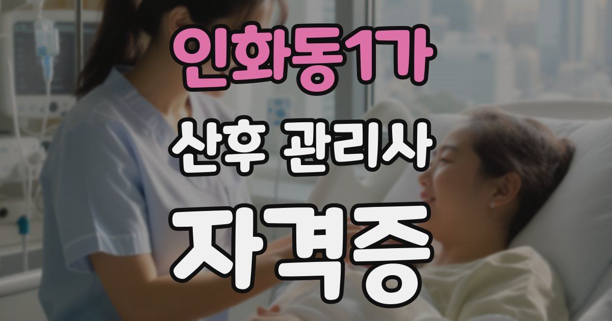 인화동1가 산후 관리사 자격증