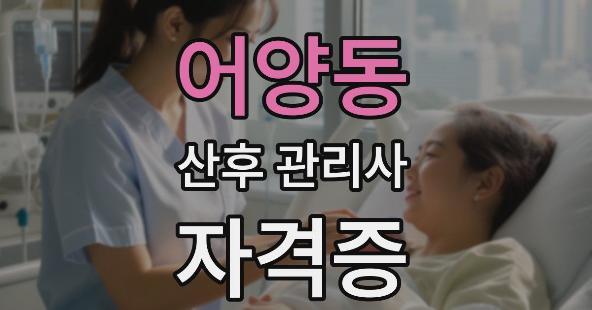 어양동 산후 관리사 자격증