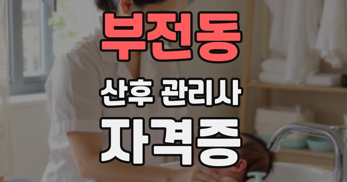 부전동 산후 관리사 자격증
