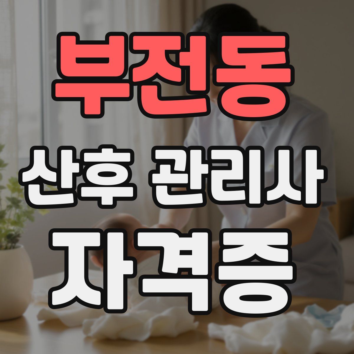 부전동 산후 관리사 자격증