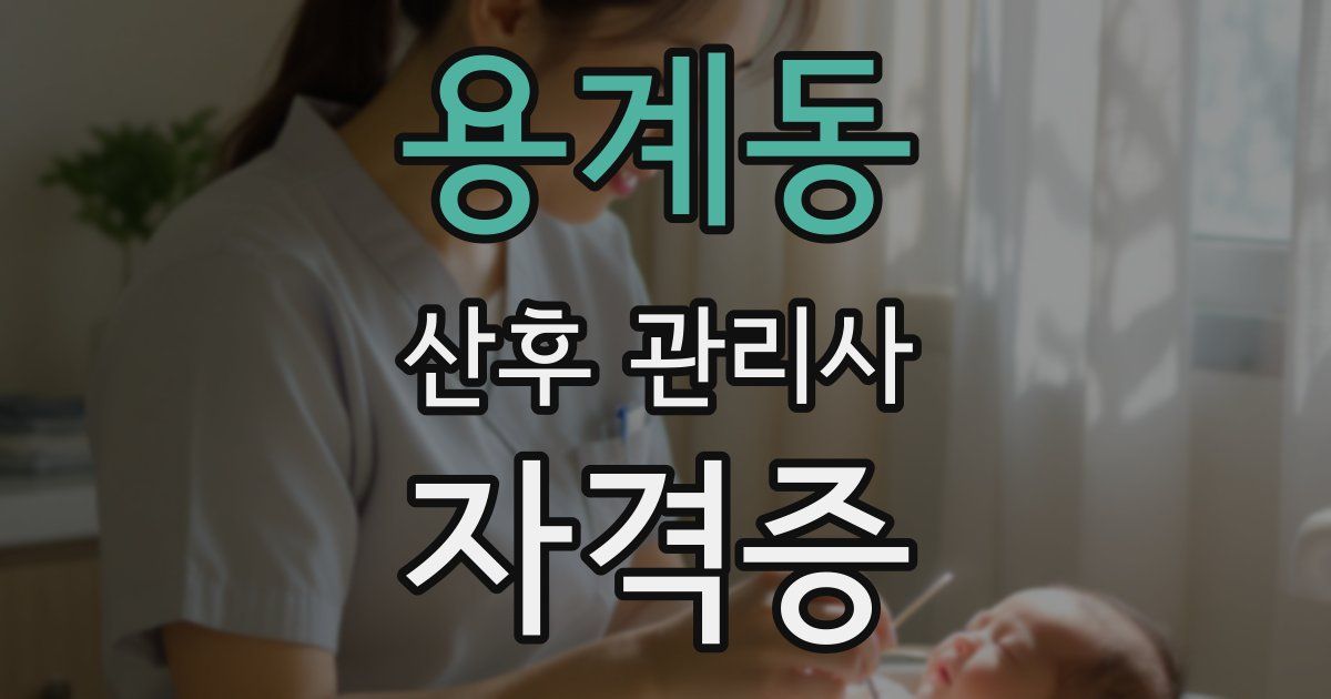용계동 산후 관리사 자격증