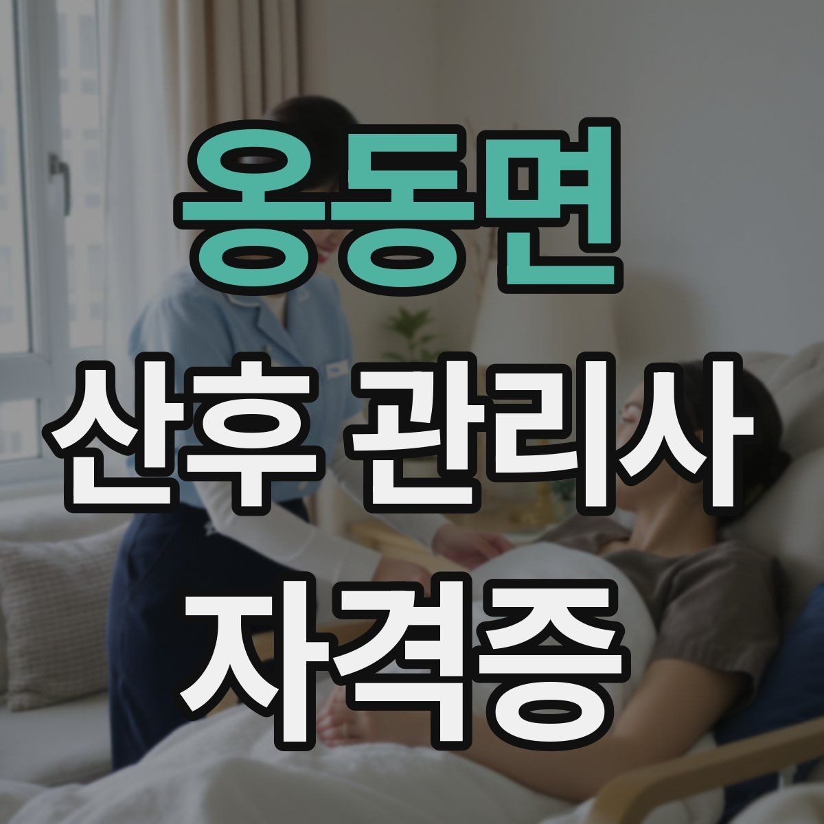 옹동면 산후 관리사 자격증 한 번에 이해하는 업무 핵심 정리