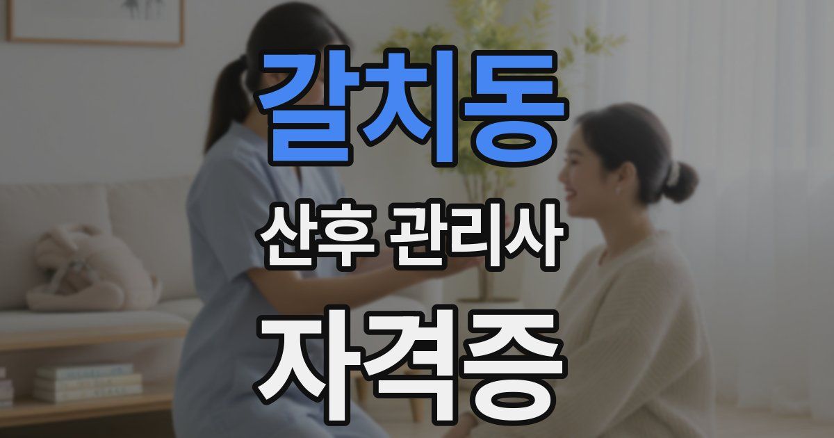 갈치동 산후 관리사 자격증