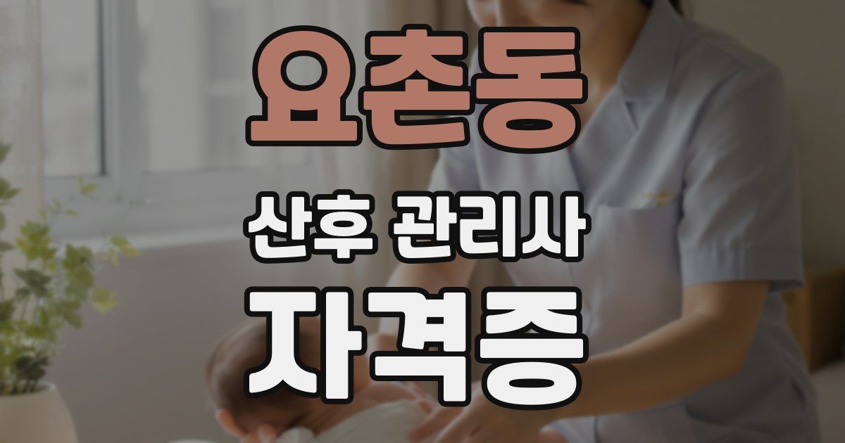요촌동 산후 관리사 자격증