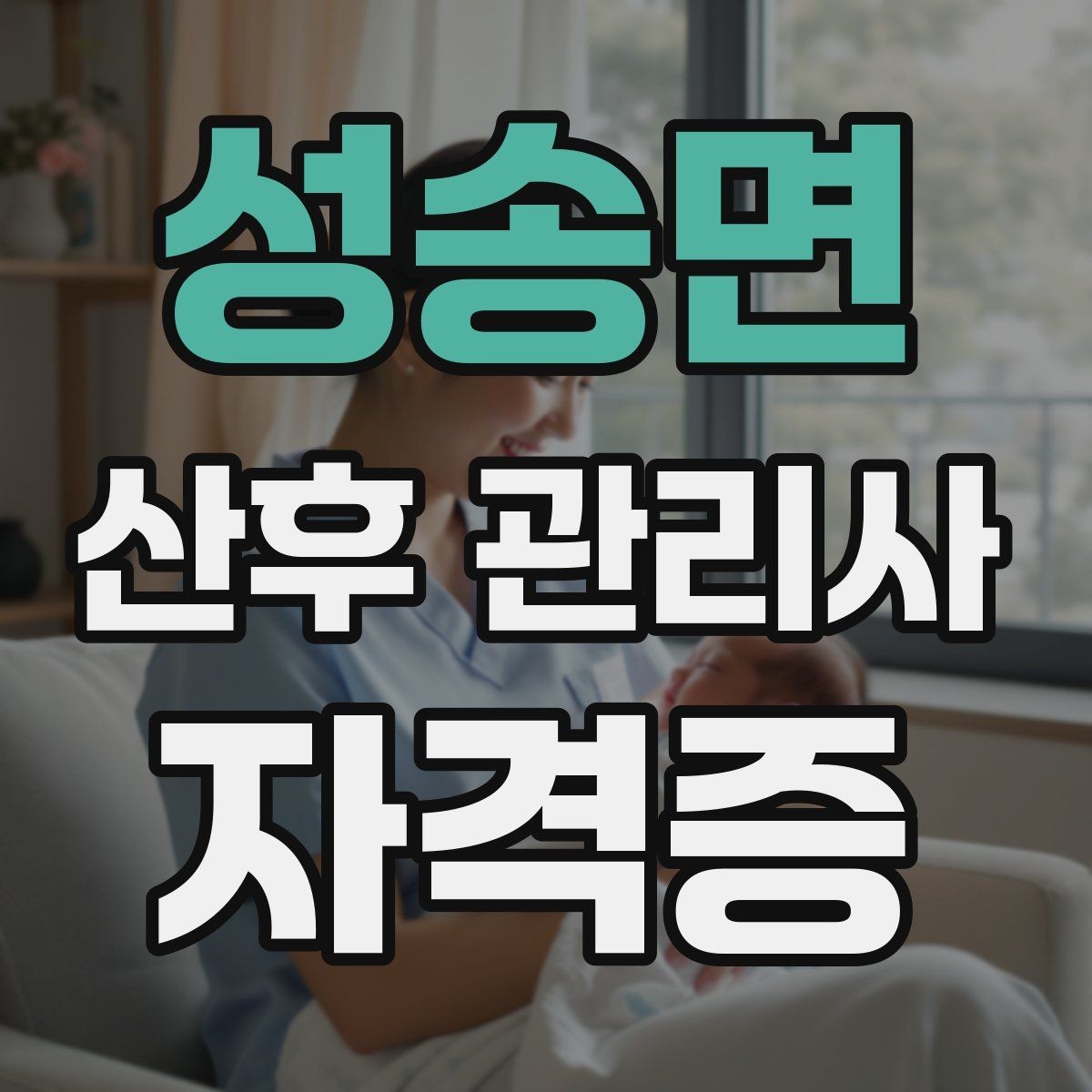 성송면 산후 관리사 자격증 가사 지원 요청을 정중히 조율하는 방법