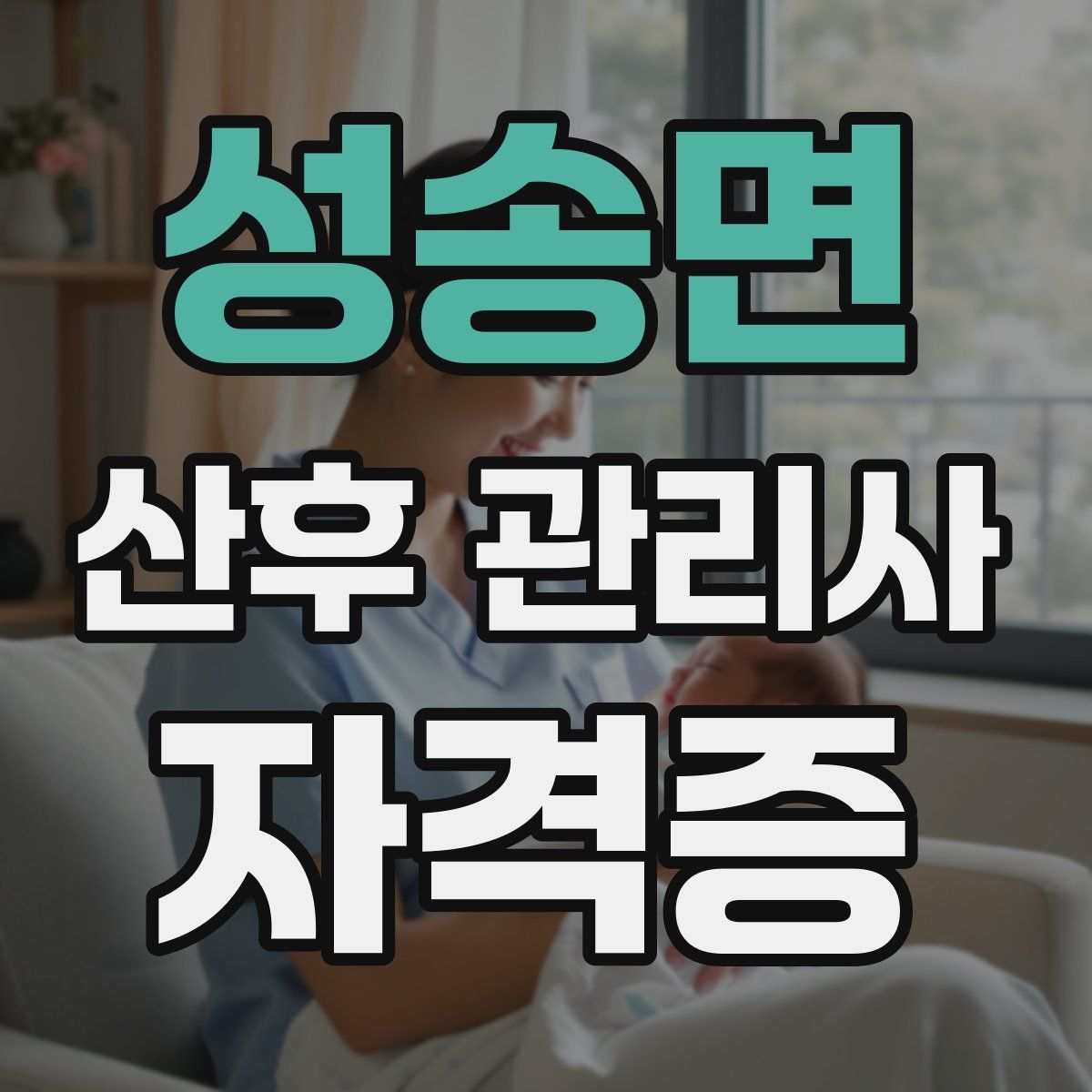 성송면 산후 관리사 자격증