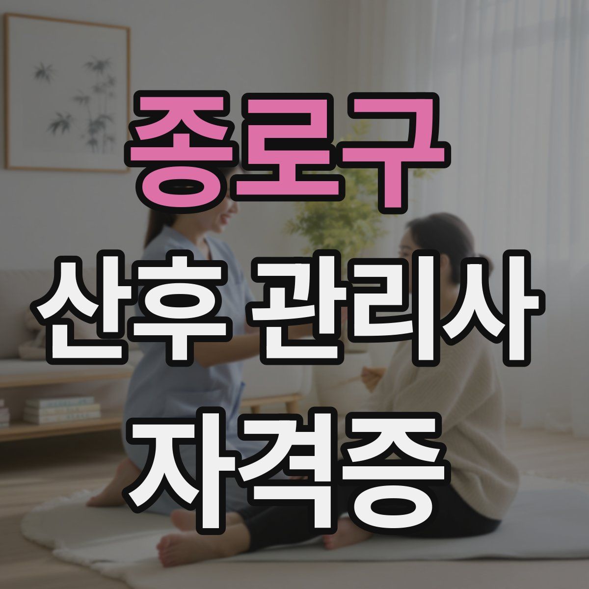 종로구 산후 관리사 자격증