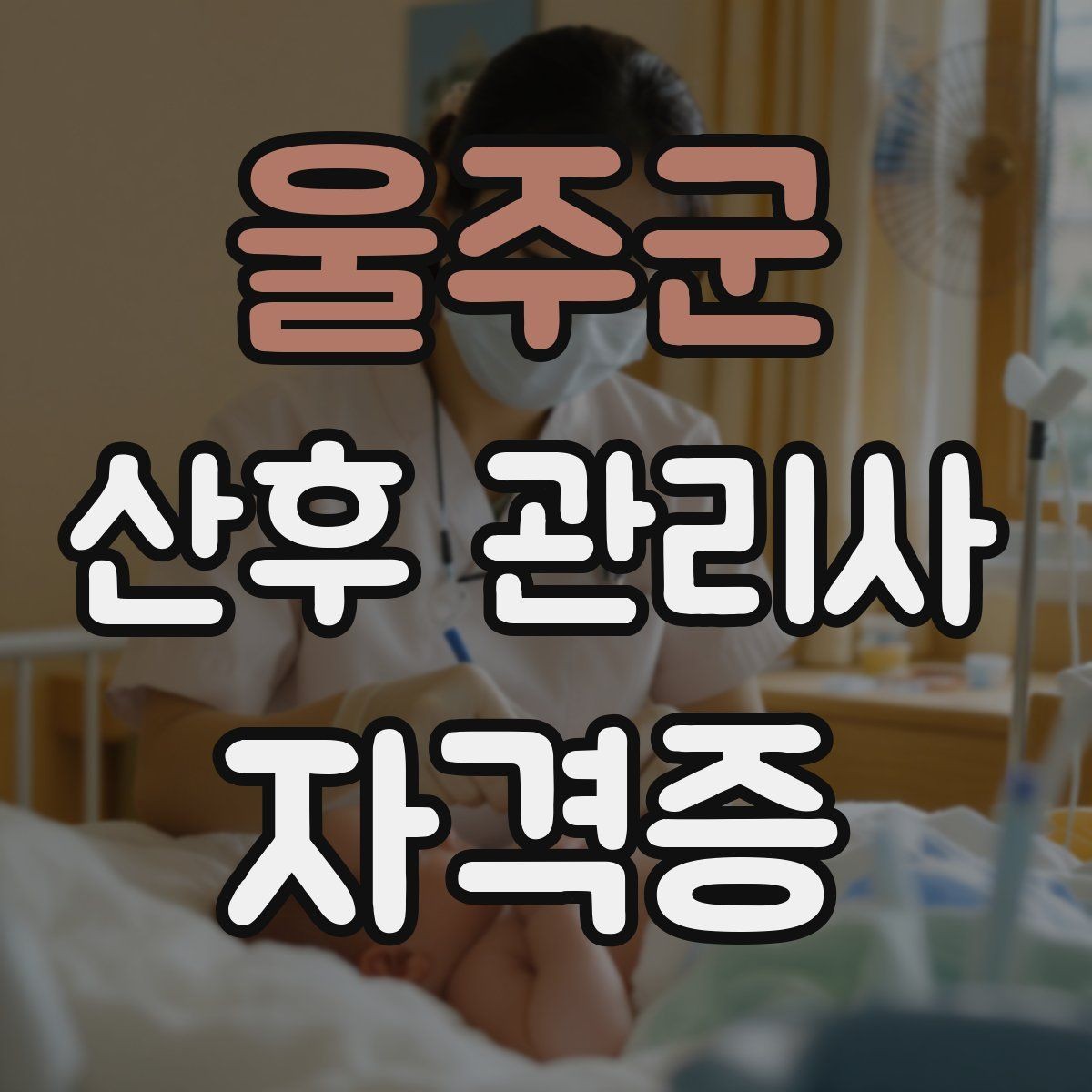 울주군 산후 관리사 자격증 한 번에 이해하는 업무 핵심 정리