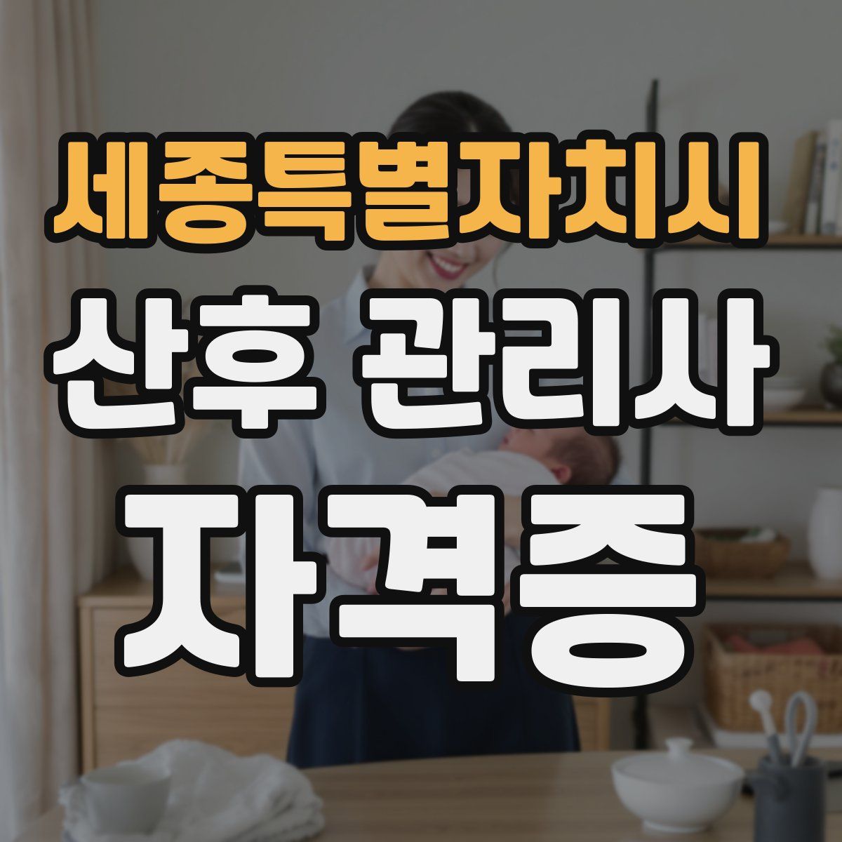 세종특별자치시 산후 관리사 자격증