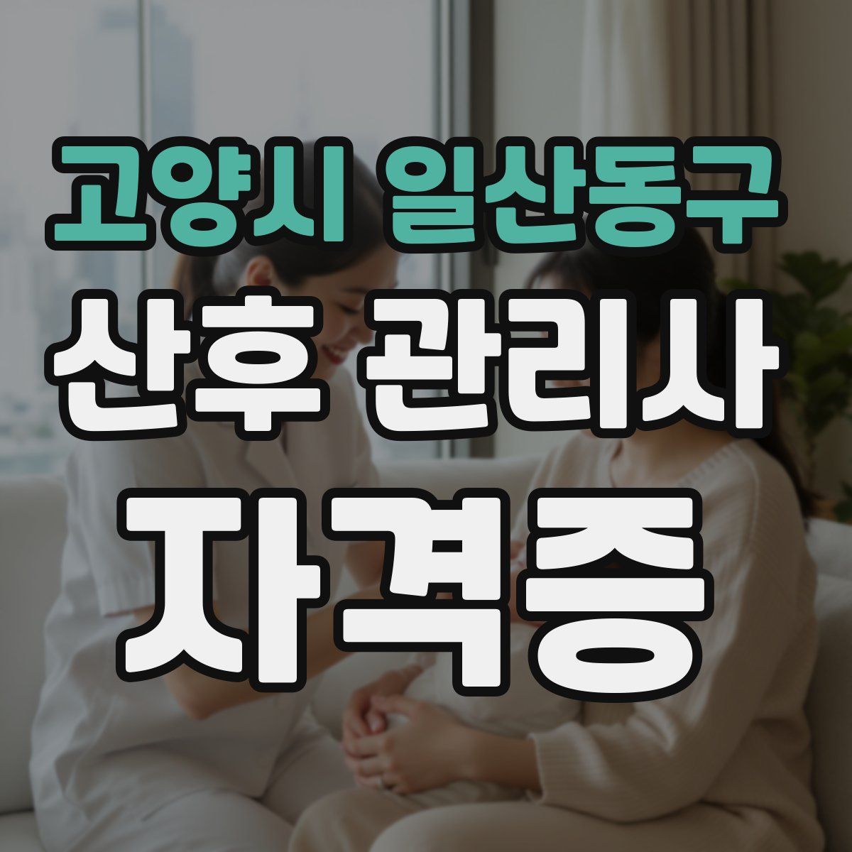 고양시 일산동구 산후 관리사 자격증