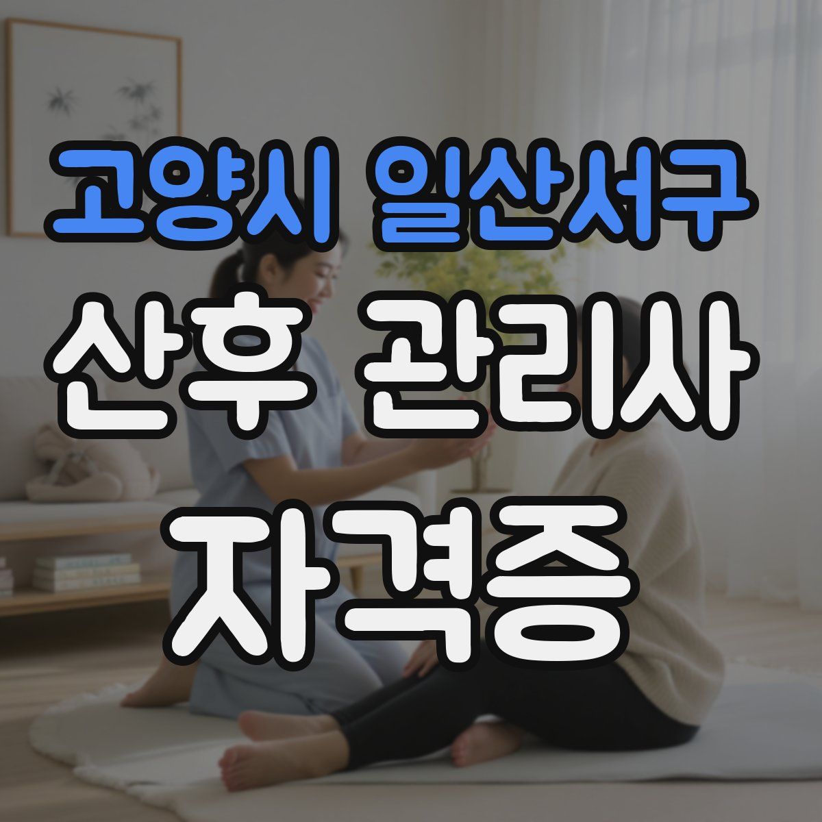고양시 일산서구 산후 관리사 자격증