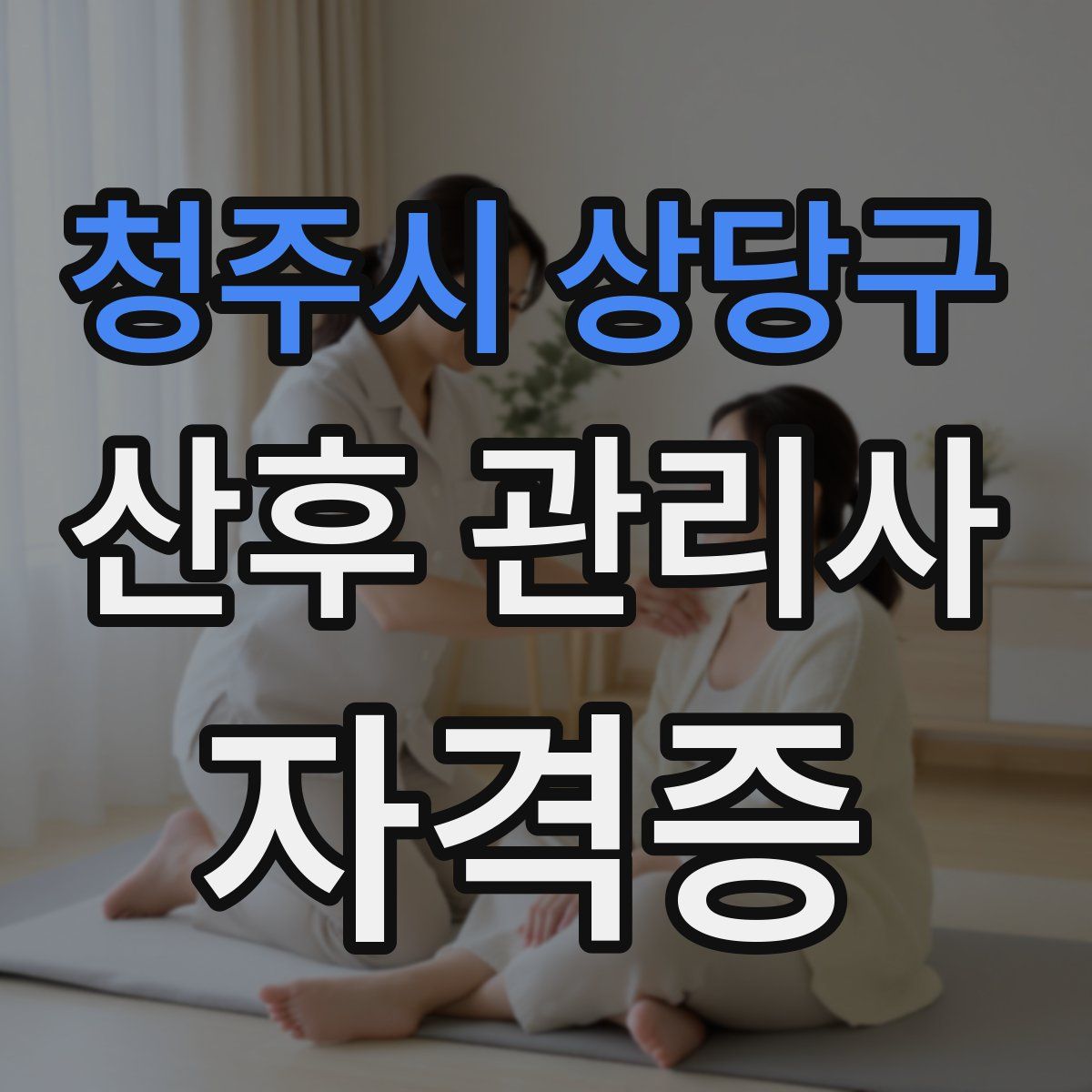 청주시 상당구 산후 관리사 자격증